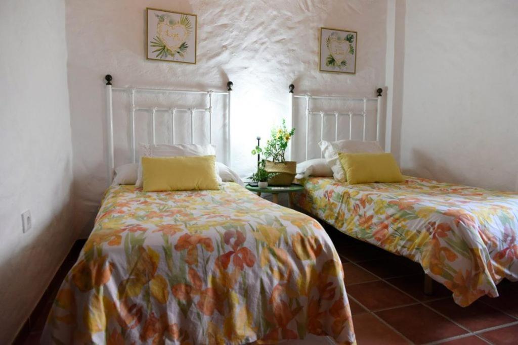 Villa Hacienda San Francisco à Prado Del Rey Extérieur photo